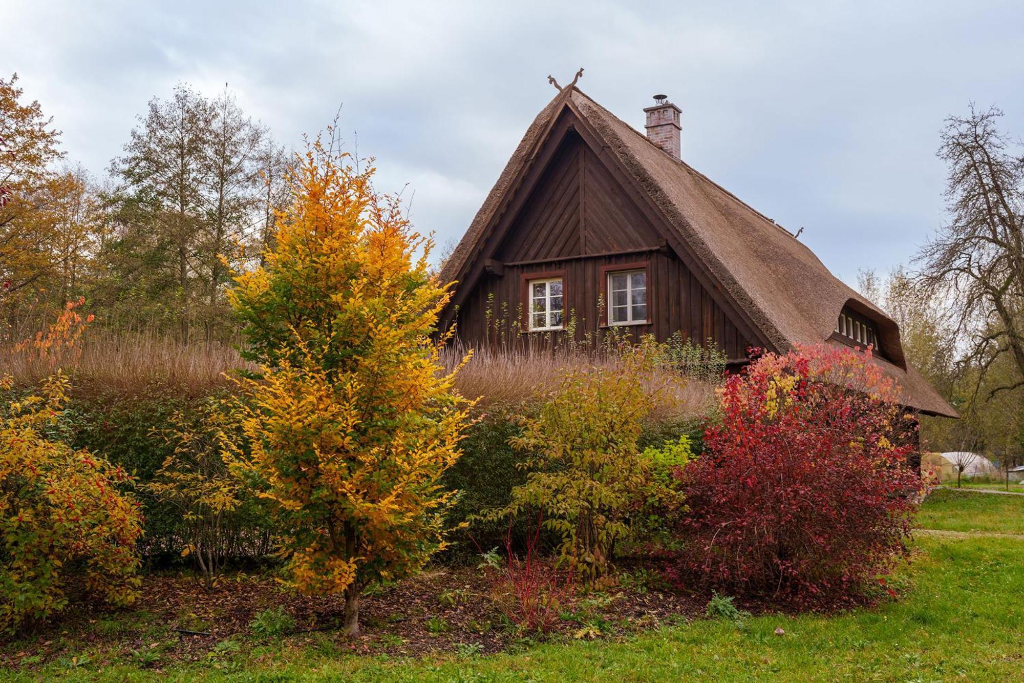 Exklusives Holzhaus Villa Burg  Luaran gambar