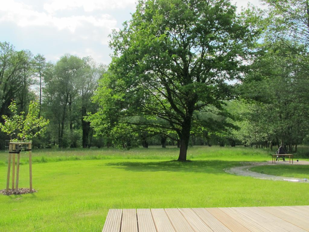 Exklusives Holzhaus Villa Burg  Bilik gambar