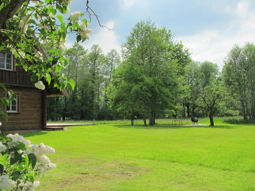 Exklusives Holzhaus Villa Burg  Bilik gambar